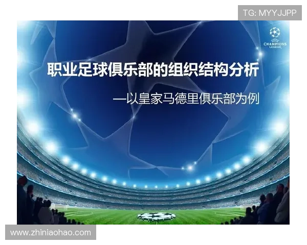南京足球队实力分析及其在联赛中的表现评估与趋势研究 南京足球队实力分析及其在联赛中的表现评估与趋势研究