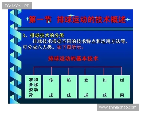 成都排球队中路突破战术深度解析与实战应用探讨 成都排球队中路突破战术深度解析与实战应用探讨