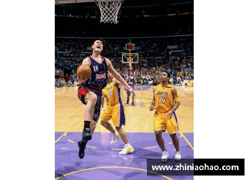 NBA篮球巨人：探寻比姚明更高的球员